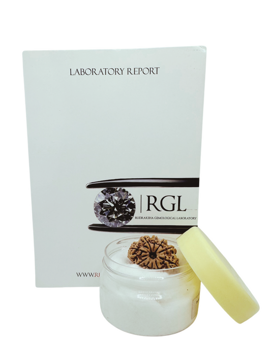 super collector bead 10mukhi iso certified