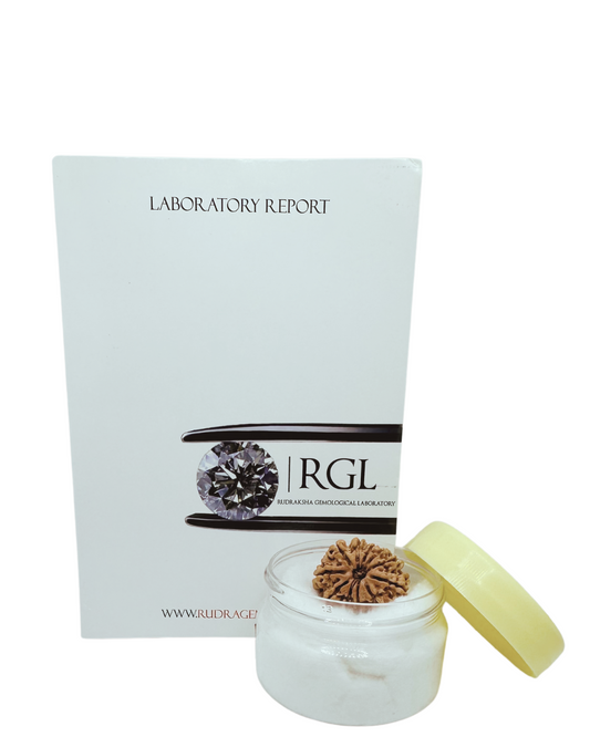 11mukhi rudraksha bysb hivaratna