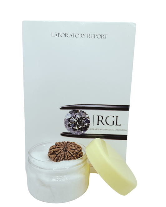 hand picked rudraksha