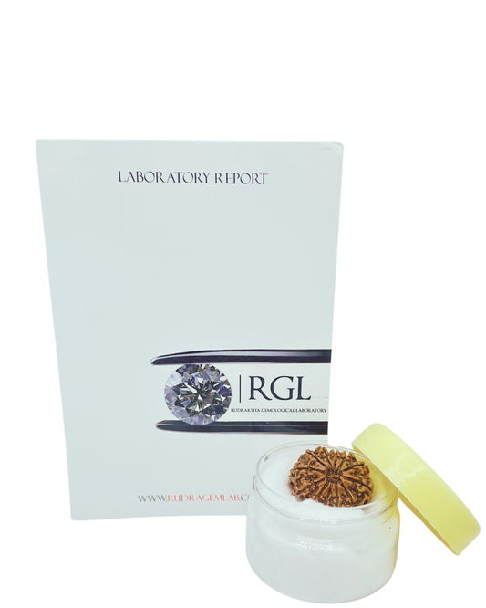 heavy 12mukhi nepali with iso certified