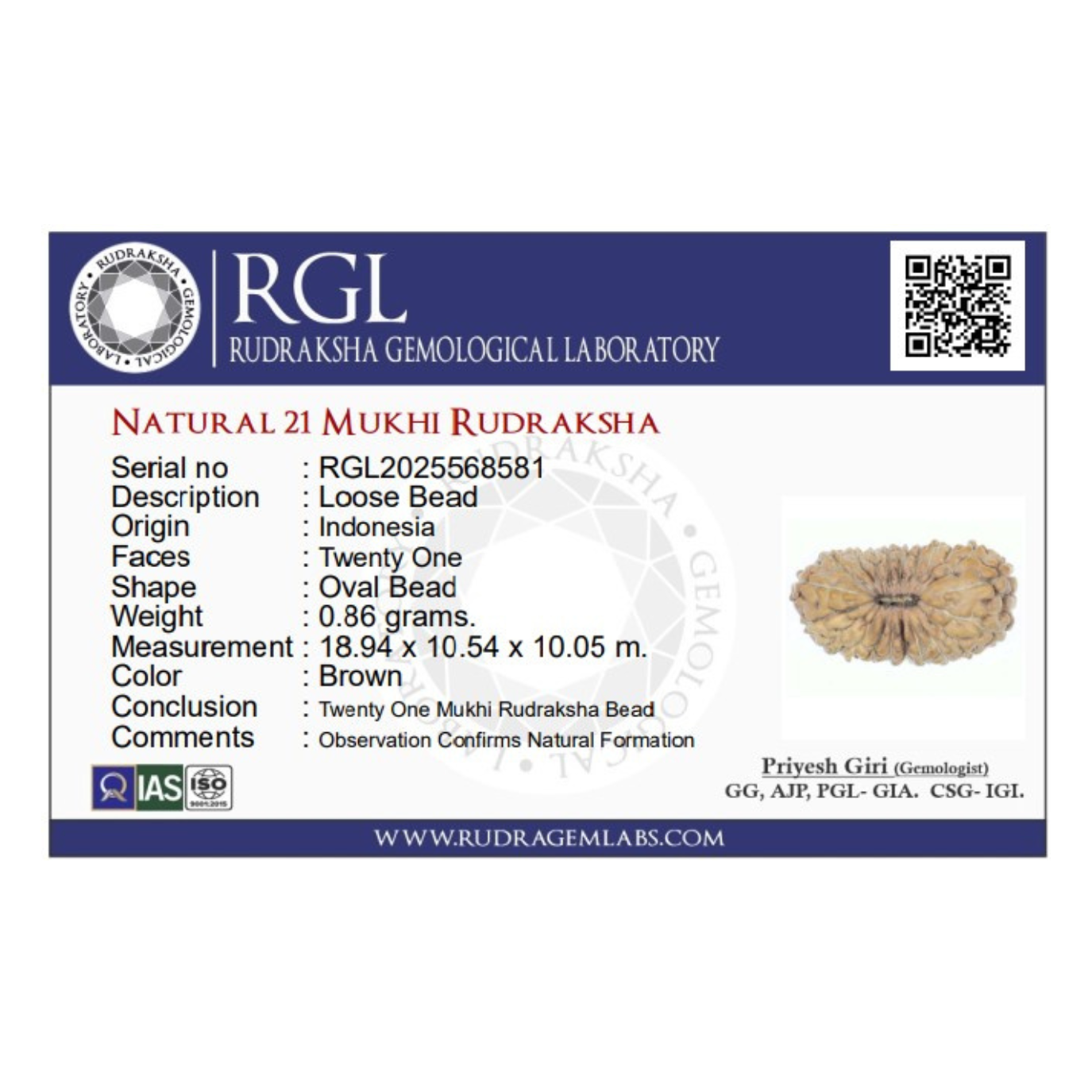 ShivaRatna 21 Mukhi Rudraksha – Certified Indonesian Bead, Well-Formed & Mature, with X-Ray Report
