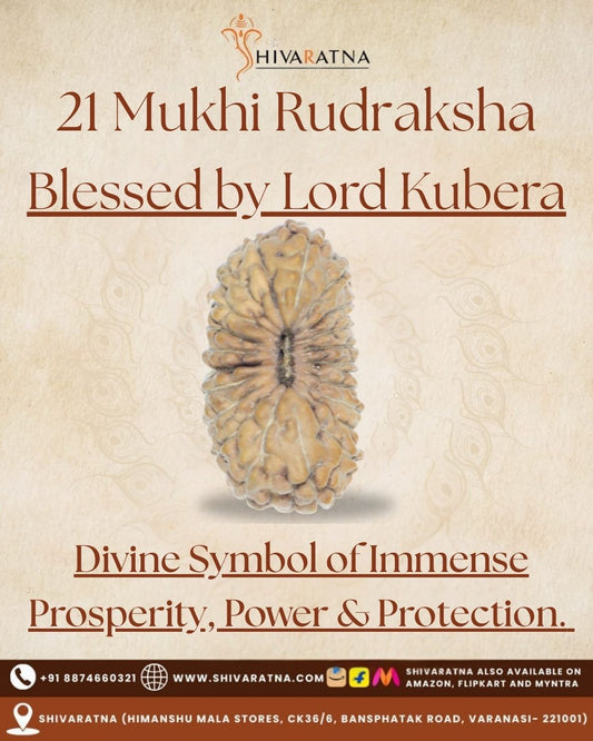 ShivaRatna 21 Mukhi Rudraksha – Certified Indonesian Bead, Well-Formed & Mature, with X-Ray Report