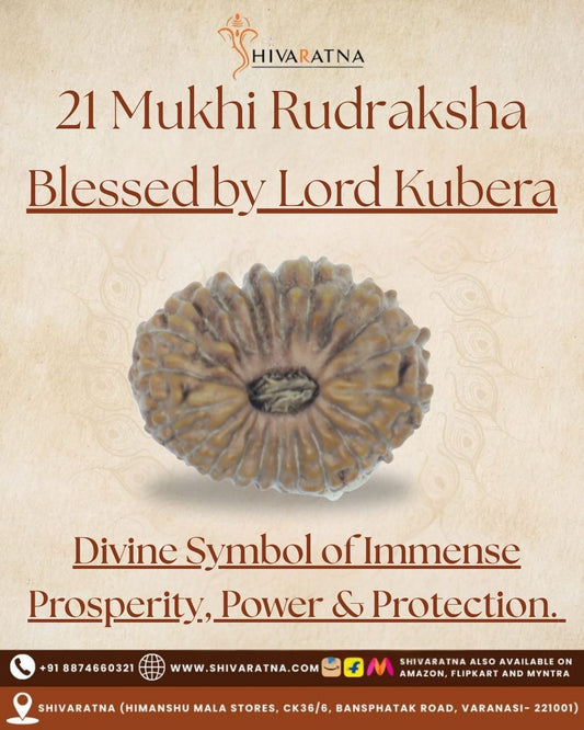 ShivaRatna 21 Mukhi Rudraksha – Indonesian Origin, Certified, Well-Shaped & Mature Bead with X-Ray Authentication
