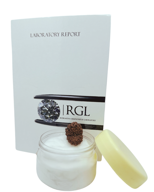 certified  collector elite 17mukhi java