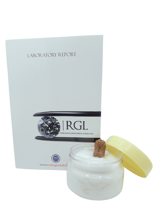 iso certified 2mukhi rudraksha by shivaratna