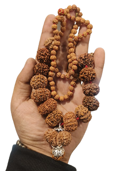 ShivaRatna Siddha Rudraksha Mala 1-14 Mukhi and GauriShankar , Ganesh + 5 Mukhi Rudraksha Mala - Lab Certified(ELITE BEADS)