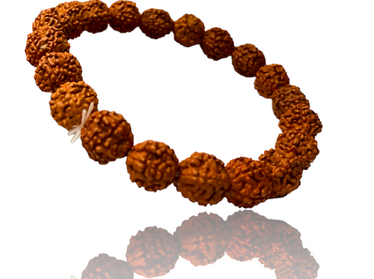 ShivaRatna 5 Mukhi Rudraksha Bracelet