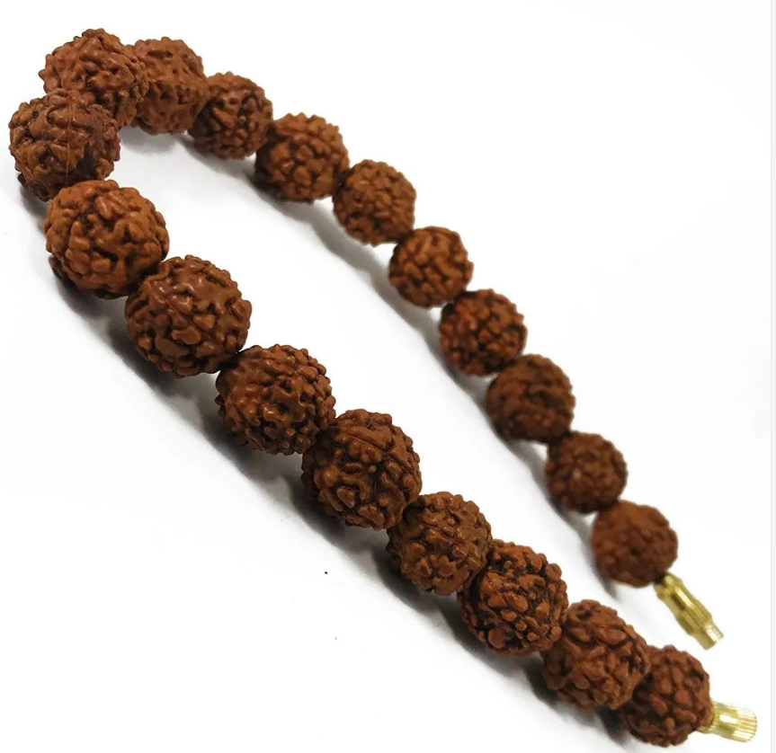 ShivaRatna 7 Mukhi Rudraksh Bracelet - Indonesian Beads