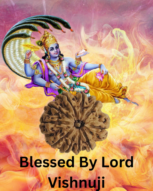 10mukhi collector bead with supreme powe by shivaratna