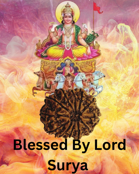 ShivaRatna 12 Mukhi Lab Certified Rudraksha (Origin Nepali) Super Elite (Collector) Bead