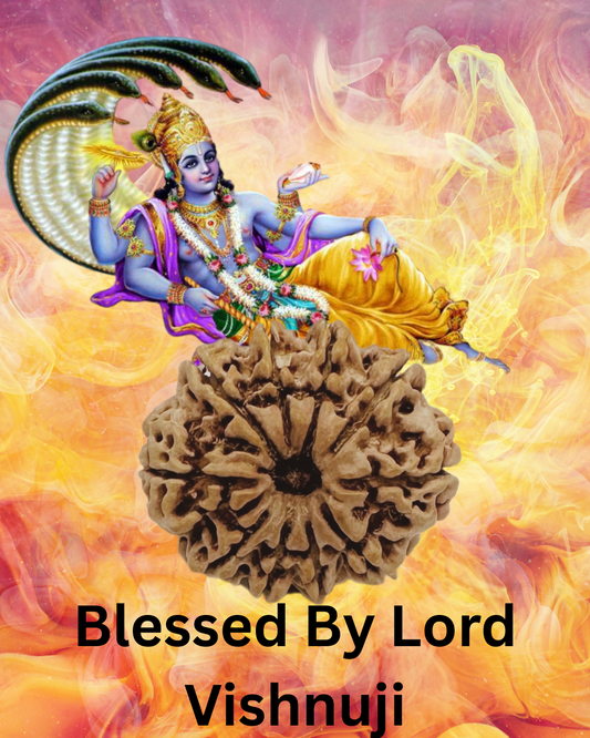 ShivaRatna 10 Mukhi Lab Certified Rudraksha (Origin Nepali) Super Elite (Collector) Bead