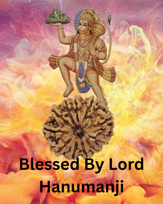 ShivaRatna 11 Mukhi Lab Certified Rudraksha (Origin Nepali) Super Elite (Collector) Bead