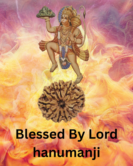 ShivaRatna 11 Mukhi Lab Certified Rudraksha (Origin Nepali) Super Elite (Collector) Bead