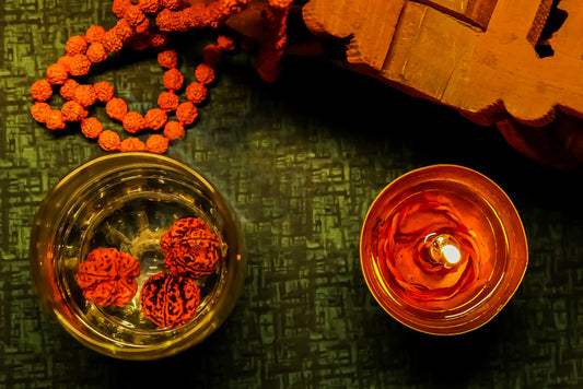 ShivaRatna Water Therapy Rudraksha (Set Of 3)