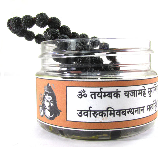 ShivaRatna Rudraksha Mala Dipped In Oil And Herbs (Mantra Siddha) 108+1 Beads - ShivaRatna
