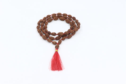 ShivaRatna 2 Mukhi Rudraksha Mala (54+1 Beads ) - Lab Certified