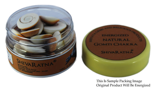 ShivaRatna Natural Gomti Chakra (Good Shape and No Damage) - - 21 Hand Picked Pieces - ShivaRatna