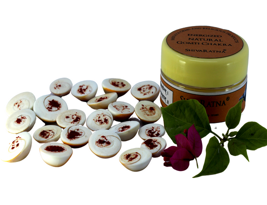 ShivaRatna Natural Gomti Chakra (Good Shape and No Damage) - - 21 Hand Picked Pieces - ShivaRatna