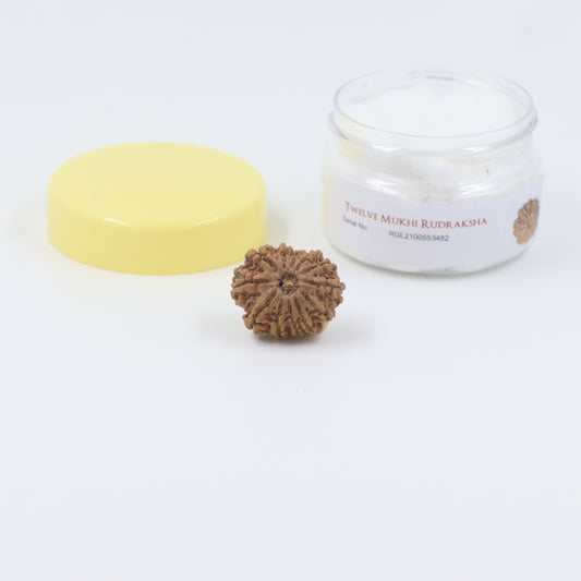 ShivaRatna Customized Order of Rudraksha AND Gems stone (COMBO SET)