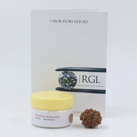 ShivaRatna 6,7,10 Mukhi Rudraksha bead -silver capped