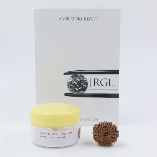 ShivaRatna 11 mukhi elite range (4 pcs of Beads) - silver capping