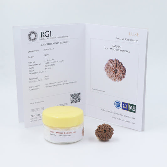 8mukhi rudraksha by shivaratna