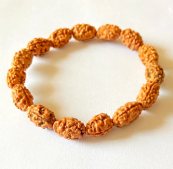 2mukhi rudraksha bracelet