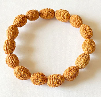 shivaRatna 3 Mukhi Rudraksha Bracelet