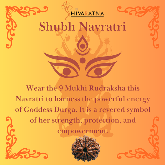 ShivaRatna 9 Mukhi/Nine Face Rudraksha with Certificate of Authenticity