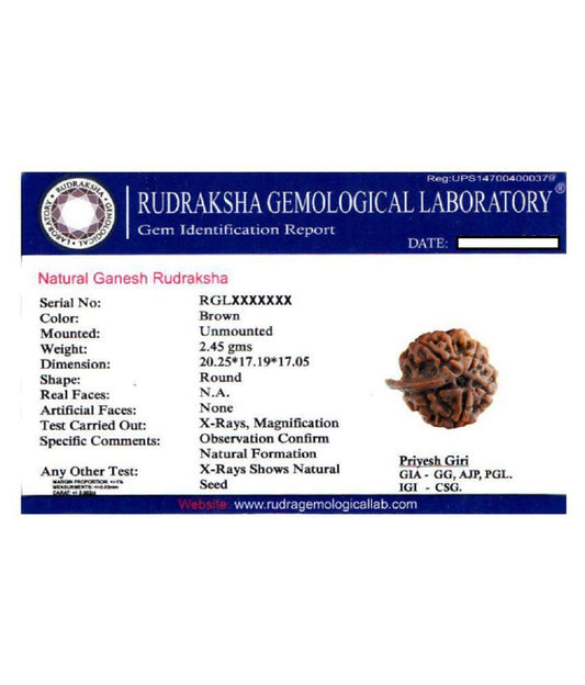 ShivaRatna Ganesh Rudraksha