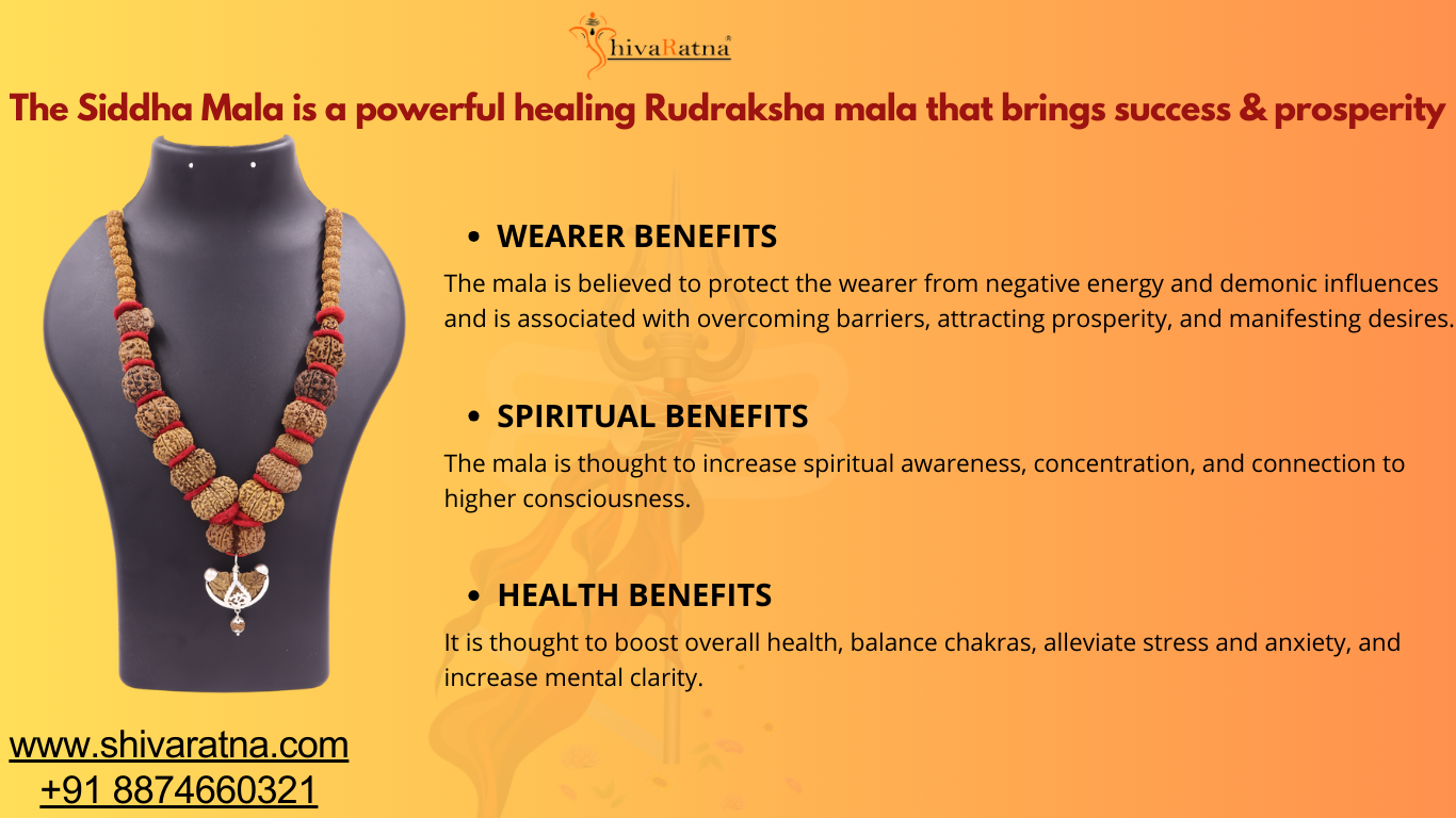 ShivaRatna Siddha Mala 1-14 Mukhi +Gaurishankar + Ganesh Rudraksha (Nepali Beads)- Lab Certified
