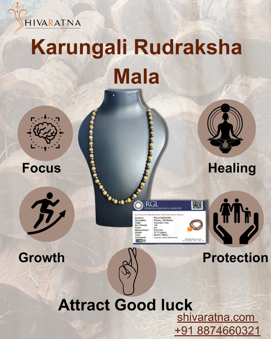 hand picked by shivaratna iso certified