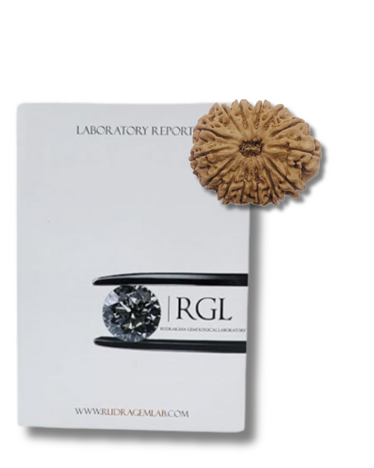 iso certified 14mukhi by shivaratna