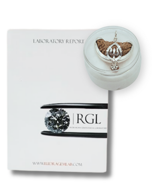 iso certified 1mukhi rudraksha