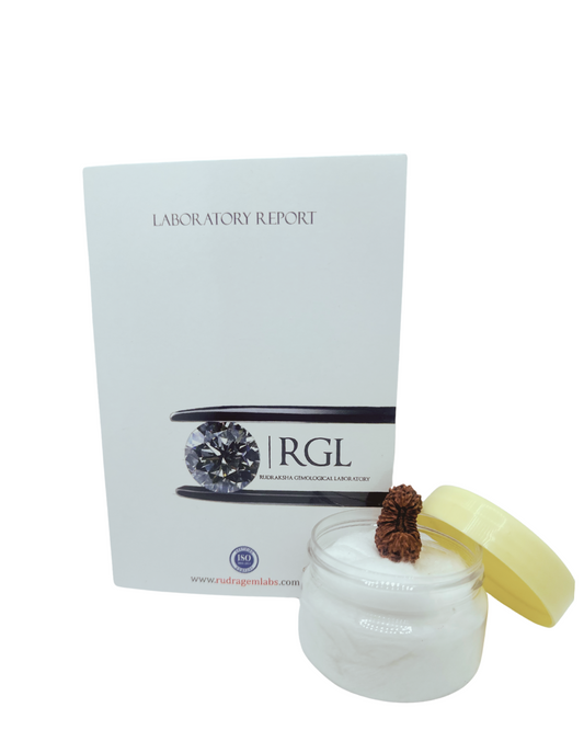 27mm size of java 24mukhi by shivaratna