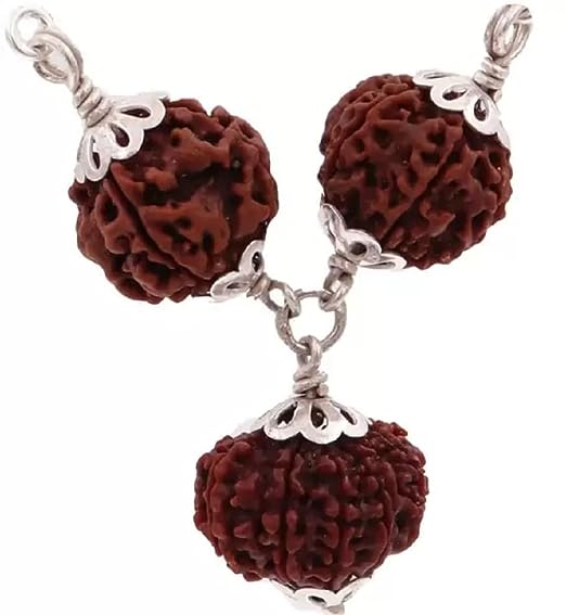 ShivaRatna Kaal Sarp Dosh Nivarak Rudraksha