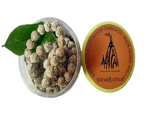 ShivaRatna Energized Rudraksha Mala 108+1 Beads ( Energized From Kashi Viswanaath Temple With Bhasmi & Belpatra )