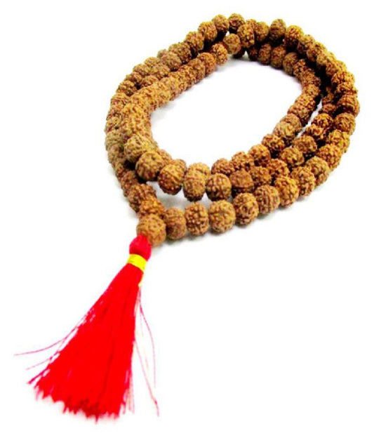 7mukhi rudraksha