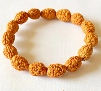 shivaRatna 3 Mukhi Rudraksha Bracelet