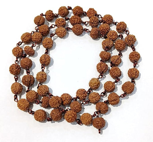 ShivaRatna 5Mukhi Rudraksha