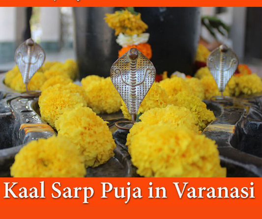 ShivaRatna Kaal Sharp Dosh Puja
