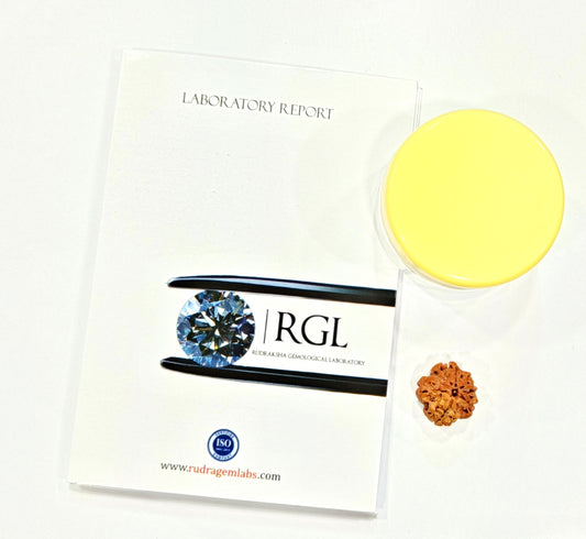 shivaratna orignal 1mukhi rudraksha bead