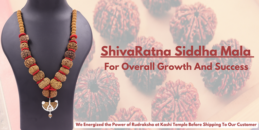 ShivaRatna Siddha Mala 1-14 Mukhi +Gaurishankar + Ganesh  Rudraksha  (Nepali Beads)- Lab Certified