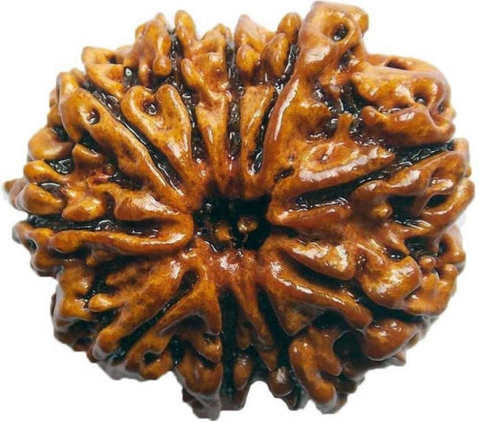nepali  dus mukhi