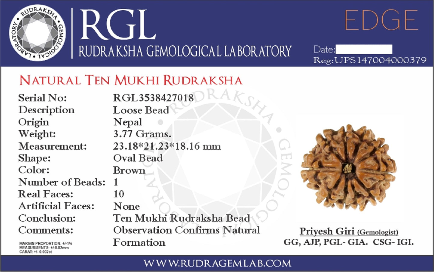 ShivaRatna Kaal Sarp Dosh Nivarak Rudraksha
