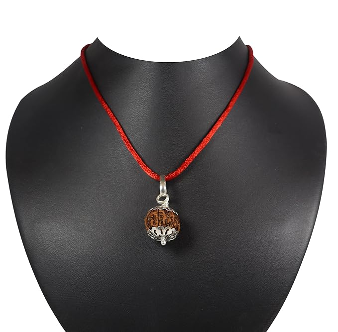 Orignal 10 mukhi silver capped rudraksha