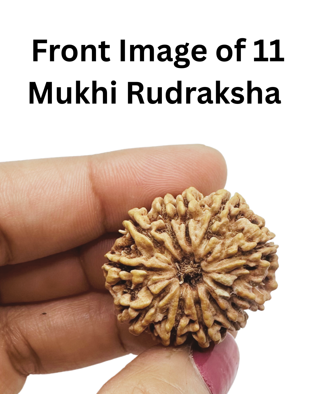 shivaratna most trusted brand