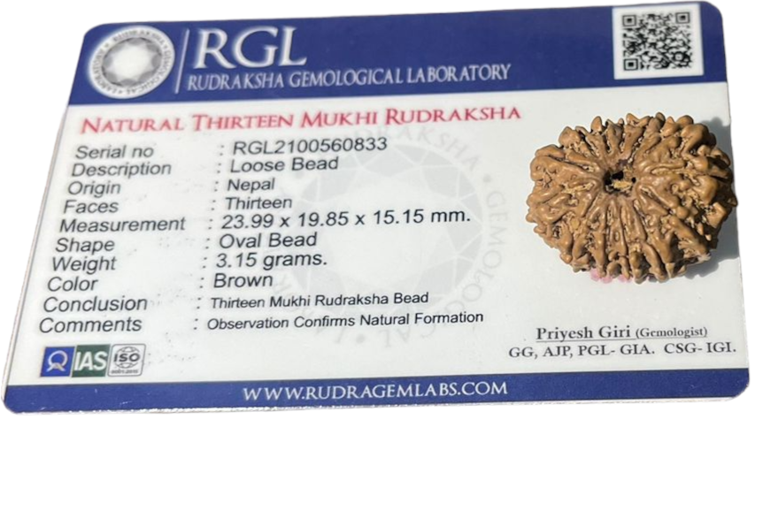 certified 13mukhi