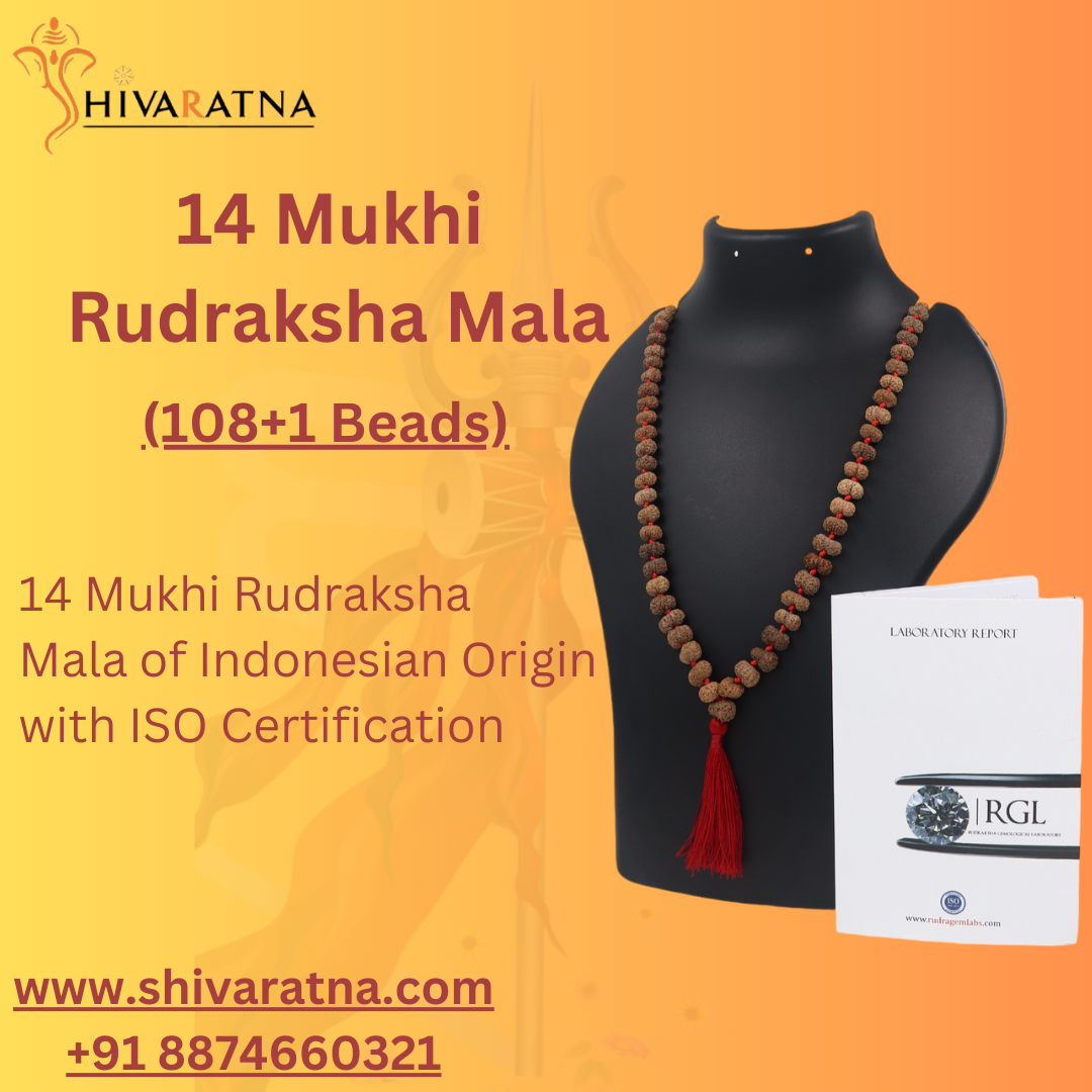 14mukhi mala of indonesian origin 
