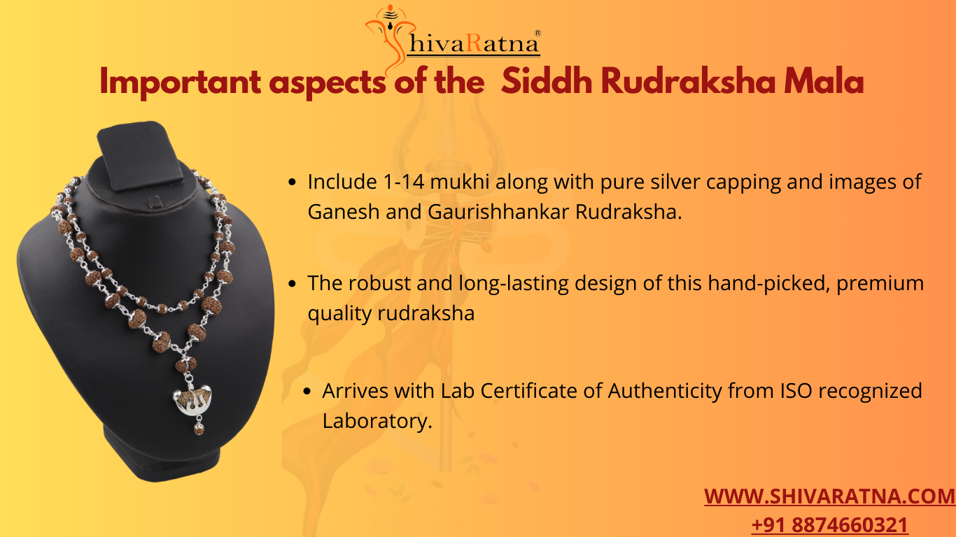 ShivaRatna Siddha Rudraksha Mala 1-14 Mukhi + 5 Mukhi Rudraksha Mala in Silver - Lab Certified